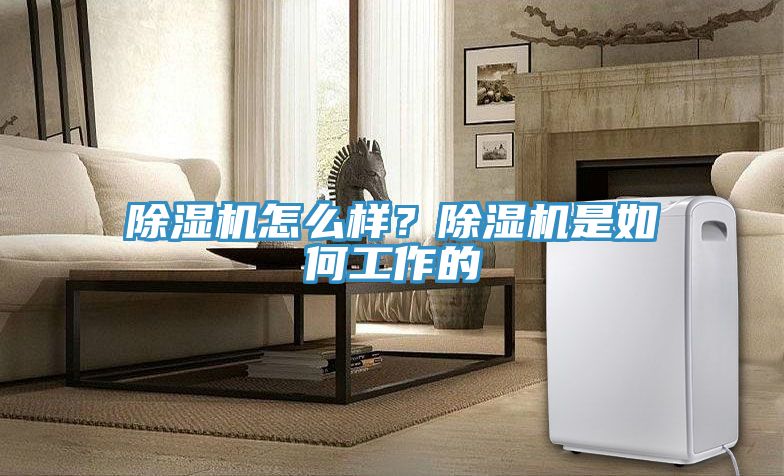 除濕機怎么樣？除濕機是如何工作的