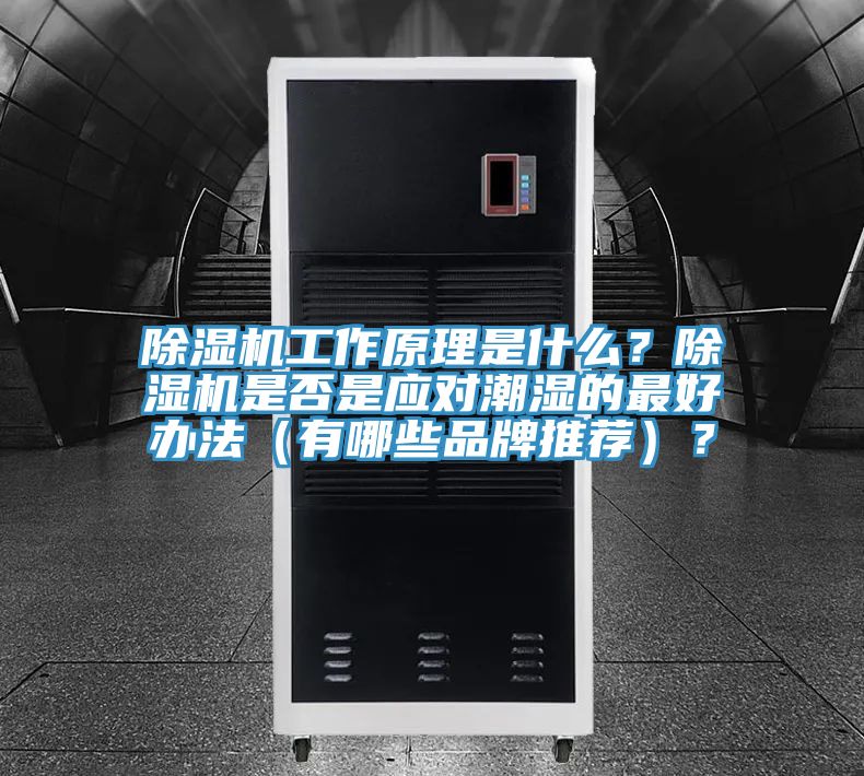 除濕機(jī)工作原理是什么？除濕機(jī)是否是應(yīng)對潮濕的最好辦法（有哪些品牌推薦）？