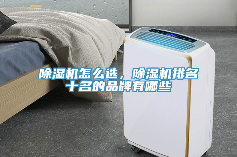 除濕機(jī)怎么選，除濕機(jī)排名十名的品牌有哪些