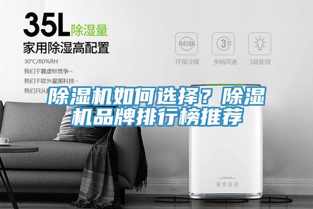 除濕機如何選擇？除濕機品牌排行榜推薦