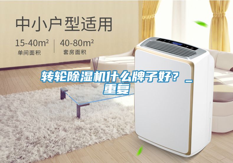 轉(zhuǎn)輪除濕機(jī)什么牌子好？_重復(fù)