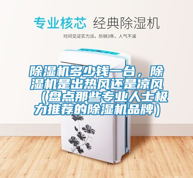 除濕機(jī)多少錢一臺(tái)，除濕機(jī)是出熱風(fēng)還是涼風(fēng)（盤點(diǎn)那些專業(yè)人士極力推薦的除濕機(jī)品牌）