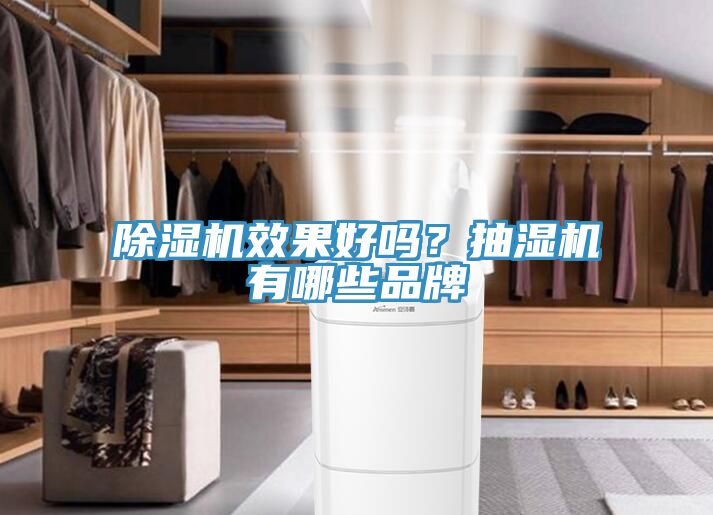 除濕機(jī)效果好嗎？抽濕機(jī)有哪些品牌