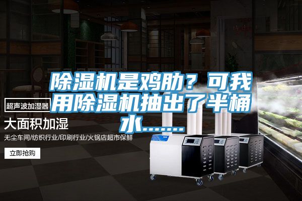 除濕機是雞肋？可我用除濕機抽出了半桶水.......