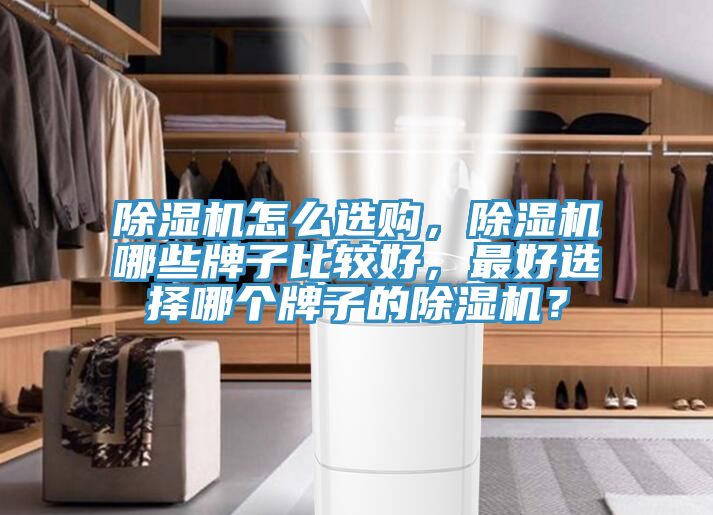 除濕機(jī)怎么選購(gòu)，除濕機(jī)哪些牌子比較好，最好選擇哪個(gè)牌子的除濕機(jī)？