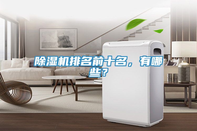 除濕機(jī)排名前十名，有哪些？