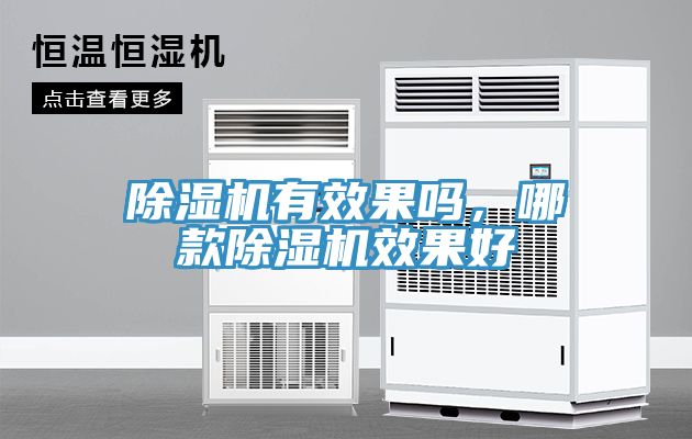除濕機有效果嗎，哪款除濕機效果好
