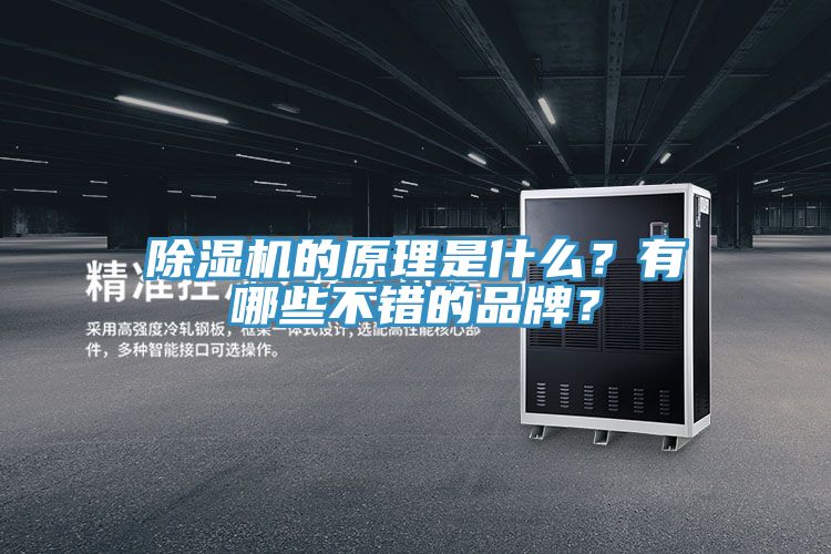 除濕機的原理是什么？有哪些不錯的品牌？