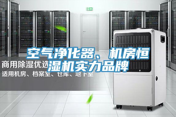 空氣凈化器、機(jī)房恒濕機(jī)實力品牌