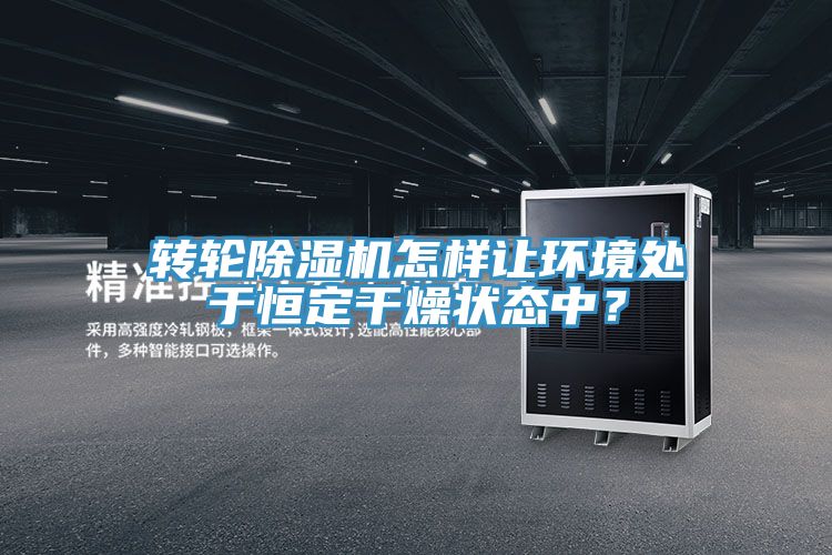 轉(zhuǎn)輪除濕機怎樣讓環(huán)境處于恒定干燥狀態(tài)中？