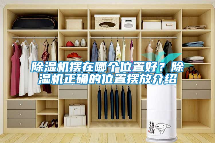 除濕機(jī)擺在哪個位置好？除濕機(jī)正確的位置擺放介紹