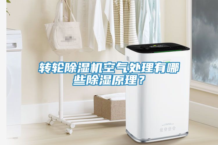 轉(zhuǎn)輪除濕機空氣處理有哪些除濕原理？