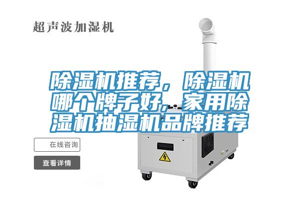 除濕機(jī)推薦，除濕機(jī)哪個牌子好, 家用除濕機(jī)抽濕機(jī)品牌推薦