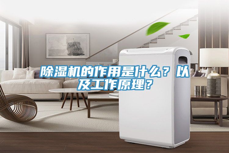 除濕機的作用是什么？以及工作原理？