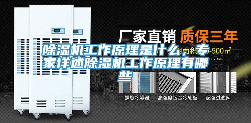 除濕機(jī)工作原理是什么，專(zhuān)家詳述除濕機(jī)工作原理有哪些