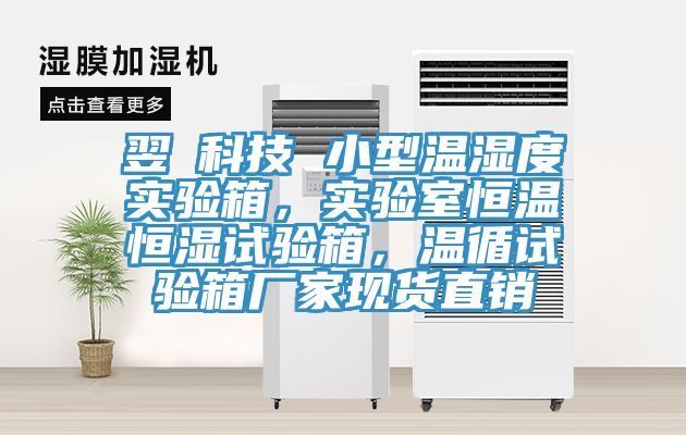 翌昇科技 小型溫濕度實驗箱，實驗室恒溫恒濕試驗箱，溫循試驗箱廠家現(xiàn)貨直銷