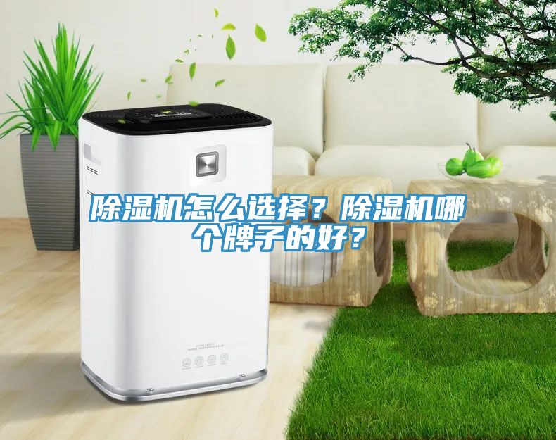 除濕機(jī)怎么選擇？除濕機(jī)哪個(gè)牌子的好？