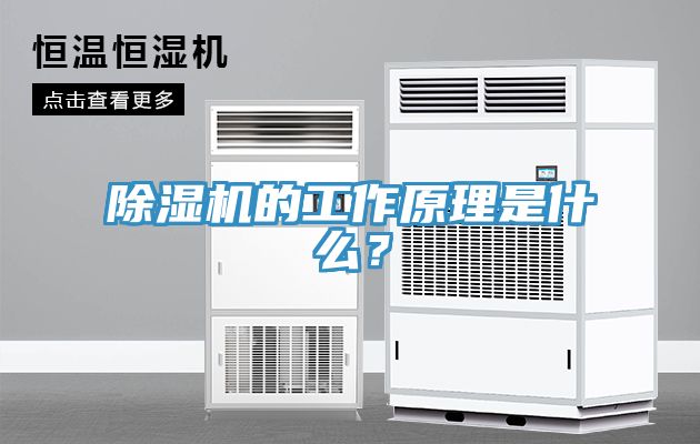 除濕機的工作原理是什么？