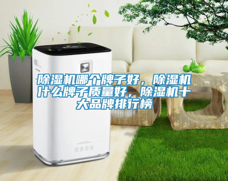 除濕機哪個牌子好，除濕機什么牌子質(zhì)量好，除濕機十大品牌排行榜