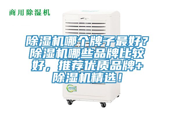 除濕機(jī)哪個(gè)牌子最好？除濕機(jī)哪些品牌比較好，推薦優(yōu)質(zhì)品牌+除濕機(jī)精選！
