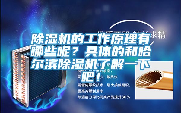 除濕機的工作原理有哪些呢？具體的和哈爾濱除濕機了解一下吧！