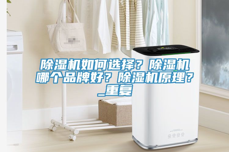 除濕機如何選擇？除濕機哪個品牌好？除濕機原理？_重復