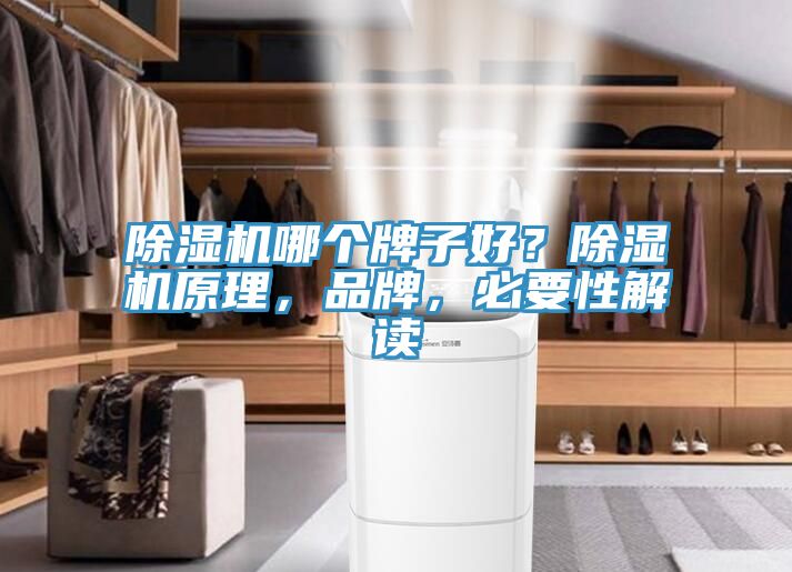 除濕機(jī)哪個(gè)牌子好？除濕機(jī)原理，品牌，必要性解讀