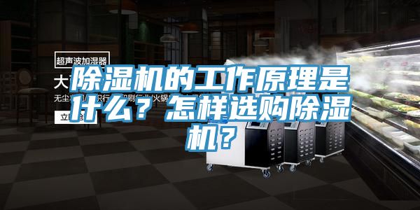 除濕機(jī)的工作原理是什么？怎樣選購除濕機(jī)？