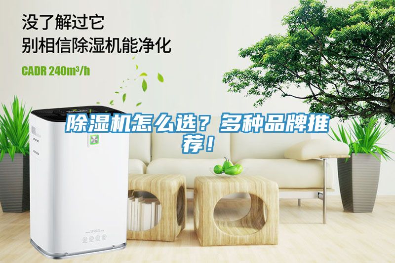 除濕機(jī)怎么選？多種品牌推薦！