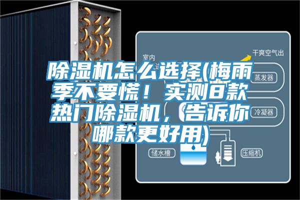 除濕機(jī)怎么選擇(梅雨季不要慌！實(shí)測(cè)8款熱門(mén)除濕機(jī)，告訴你哪款更好用)