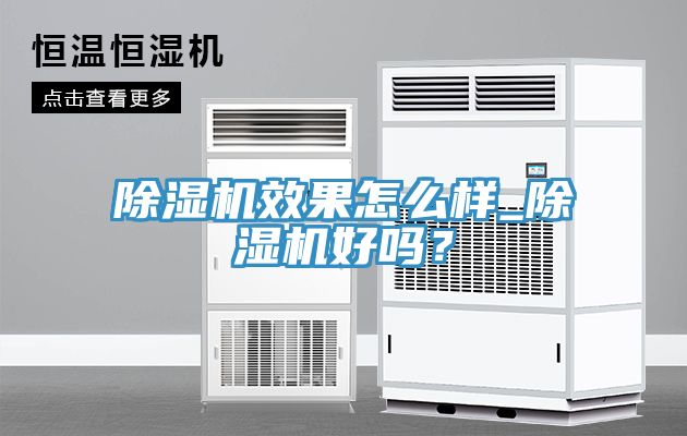 除濕機效果怎么樣_除濕機好嗎？