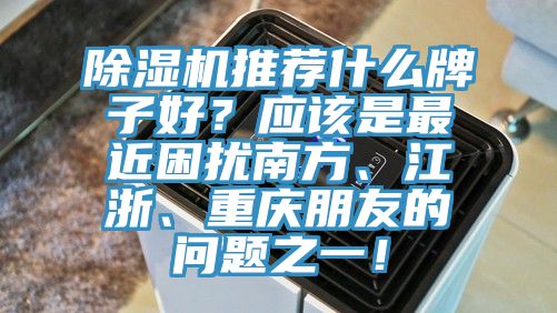 除濕機推薦什么牌子好？應該是最近困擾南方、江浙、重慶朋友的問題之一！