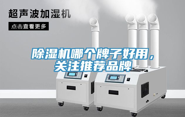 除濕機哪個牌子好用，關(guān)注推薦品牌
