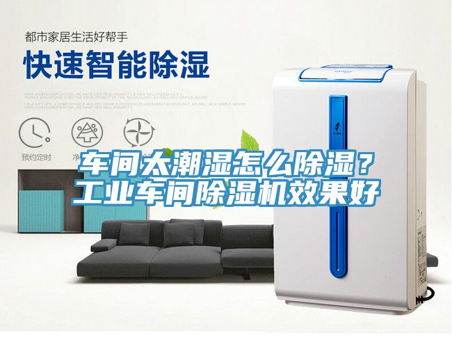 車間太潮濕怎么除濕？工業(yè)車間除濕機效果好