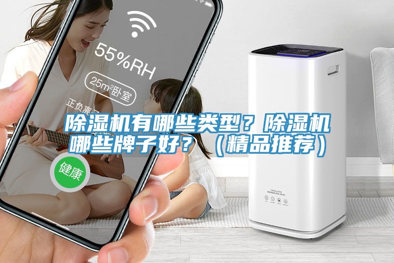 除濕機有哪些類型？除濕機哪些牌子好？（精品推薦）