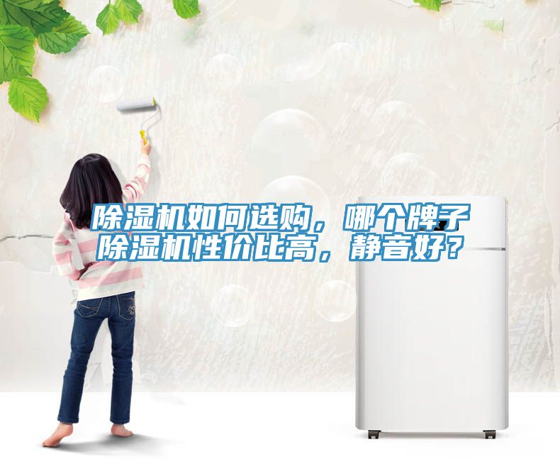 除濕機如何選購，哪個牌子除濕機性價比高，靜音好？
