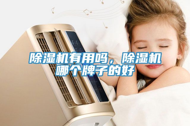 除濕機(jī)有用嗎，除濕機(jī)哪個(gè)牌子的好