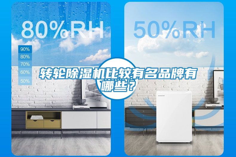 轉(zhuǎn)輪除濕機比較有名品牌有哪些？